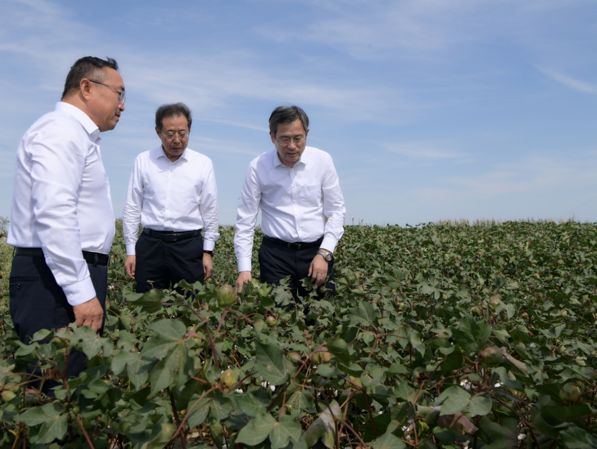 何忠友在七师胡杨河市调研